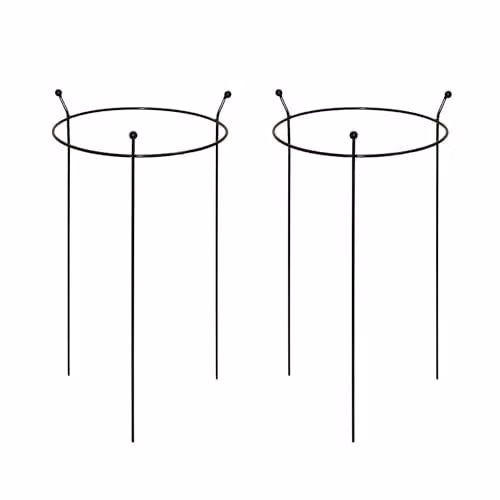 Samuel Alexander 2 Pack of Heavy Duty Black Steel Herbaceous Garden Plant Support Rings, W: 35 cm, H: 60 cm