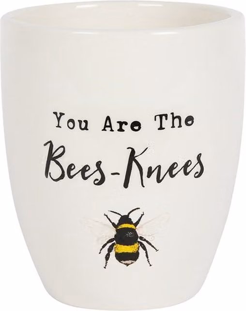 KDMK You Are the Bees Knees White Ceramic Round Tabletop Plant Pot