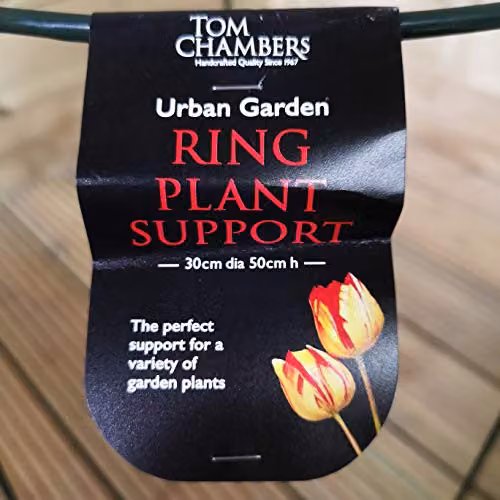Tom Chambers Urban Metal Herbaceous Garden Plant Support Ring, Green, W: 30 cm, H: 50 cm – 2