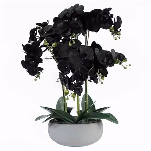 Leaf Design UK Realistic Artificial Orchid Flower Display in a Green Ceramic Planter, H 60 cm x W 40 cm x D 40 cm