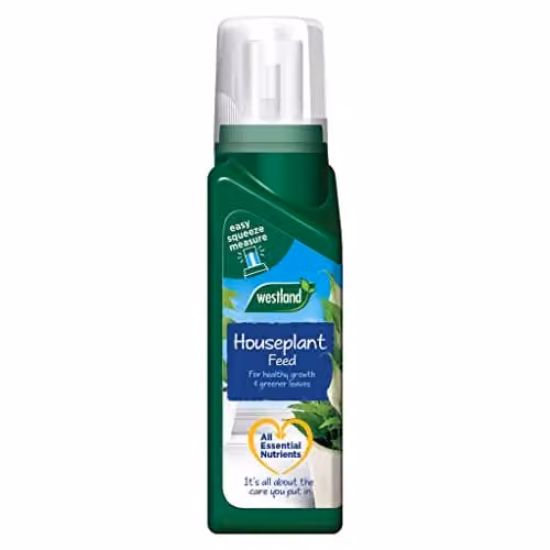 Westland Liquid Houseplant Feed Concentrate, 200 ml