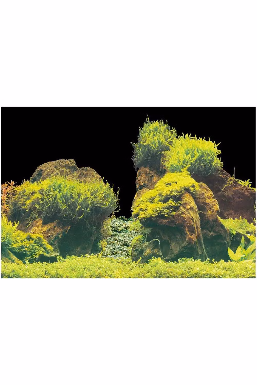 Superfish Deco Poster Double-Sided Aquarium Background Type E Multicolour W: 61.0 cm, H: 150.0 cm – 1