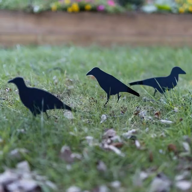 Marco Paul Set of 3 Black Metal Crow Target Decoys for Free Standing Hunting Deterrent