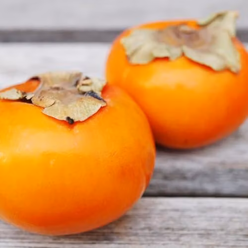Thompson & Morgan Non-Astringent Sharon Kaki Persimmon Fruit Tree, 7 Litre Potted Plant – 2