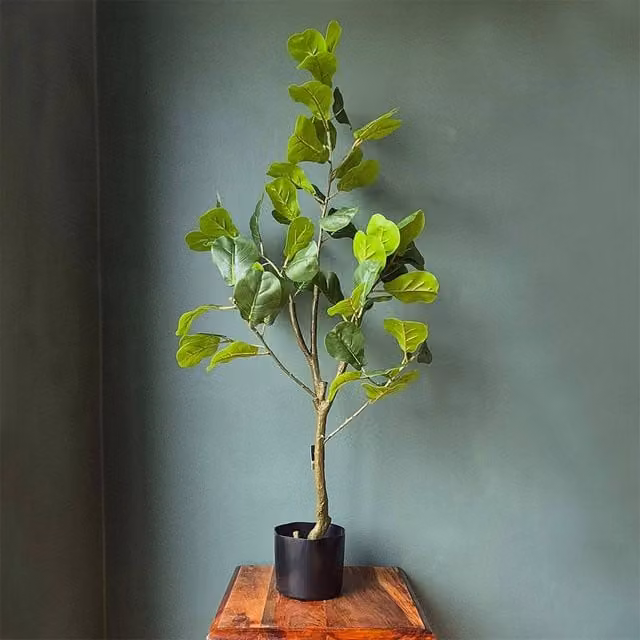 Voltico Artificial Fiddle Leaf Fig Tree in Green, Height: 90 cm – 1
