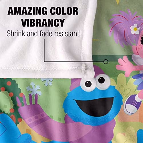 LOGOVISION Sesame Street Furry Friends Forever Kids Silky Touch Blanket, Multicolour, W: 152 cm, D: 127 cm – 2