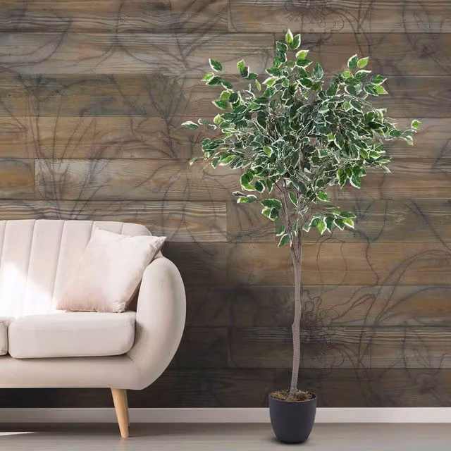 Breeins Artificial Ficus Tree in Green and Black, Height: 150 cm