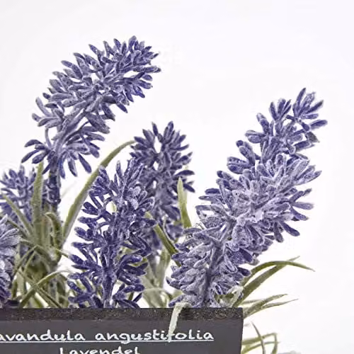 Homescapes Artificial Purple Lavender in a Square Ceramic Terracotta Pot – 3