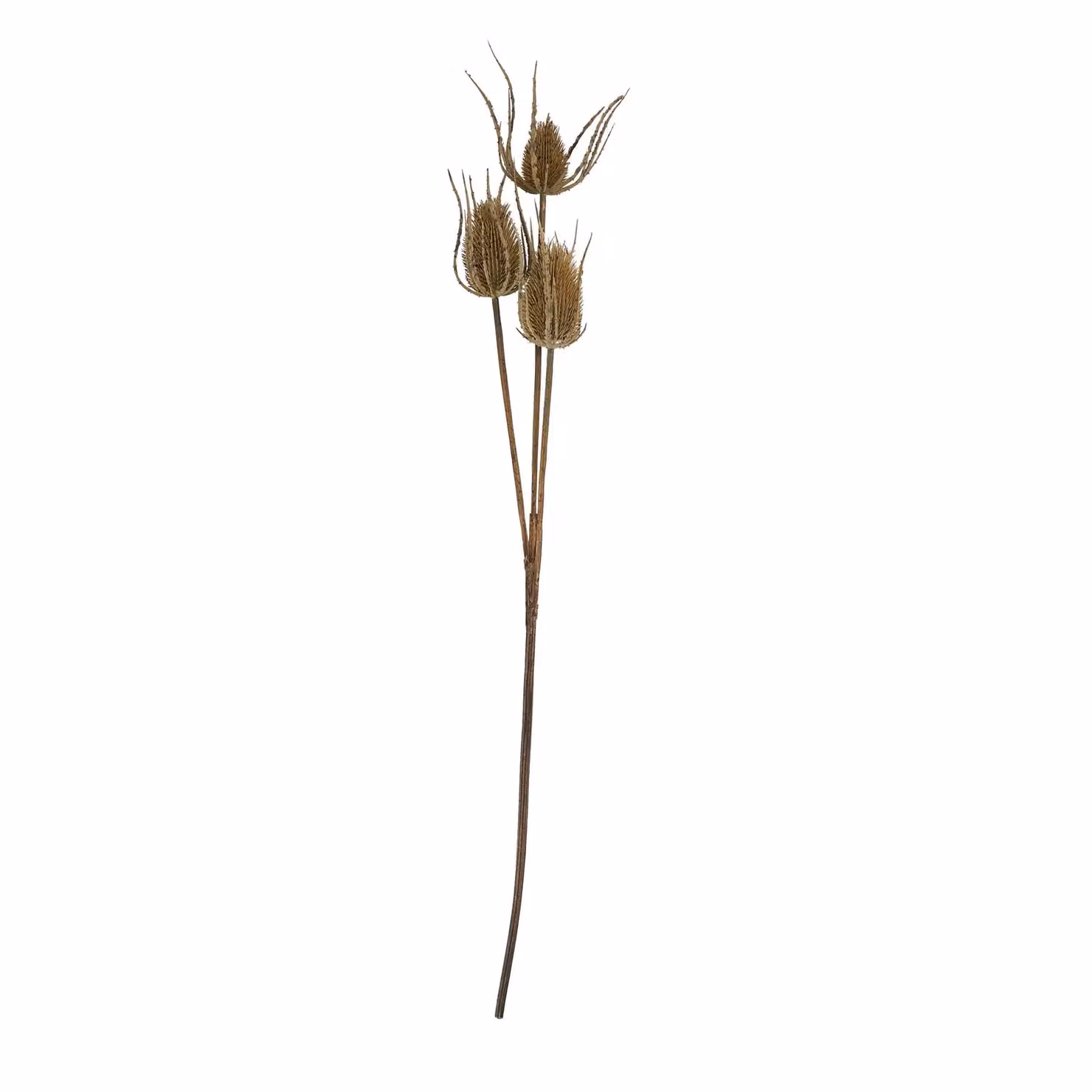 Love Lace Large Brown Triple Teasle Stem Artificial Flower – 3