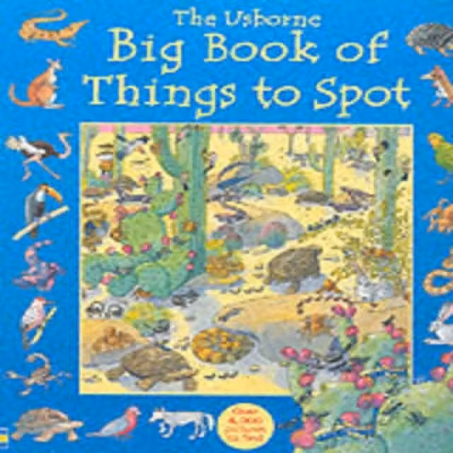 Usborne Anna Milbourne Big Book of Things to Spot Multicolour Paperback