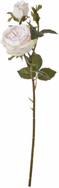 Lemon Pavilion Charity Rose Single Stem Pink Flower, H58cm