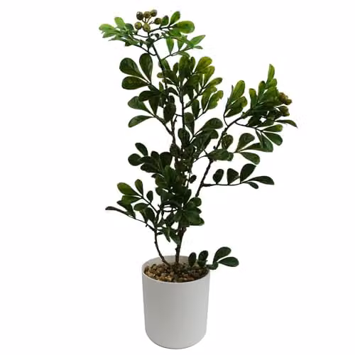 Leaf Green Artificial Bonsai Tabletop Tree H 45.0 cm x W 20.0 cm x D 20.0 cm