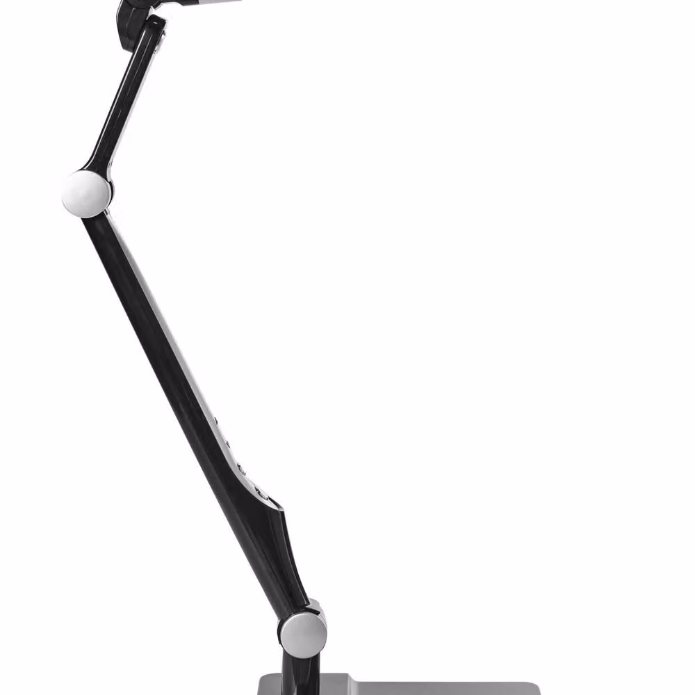 Wyld and Coco Black LED Office Desk Lamp with Adjustable Dimmable Light – 2