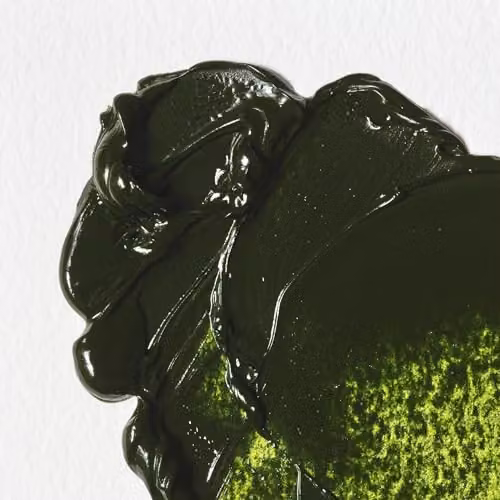 Winsor & Newton Winton Oil Colour Sap Green, 37ml – 3