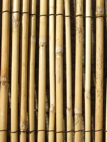 Primrose Brown Peeled Reed Natural Garden Privacy Screening Roll W: 4 m, H: 1.2 m – 2