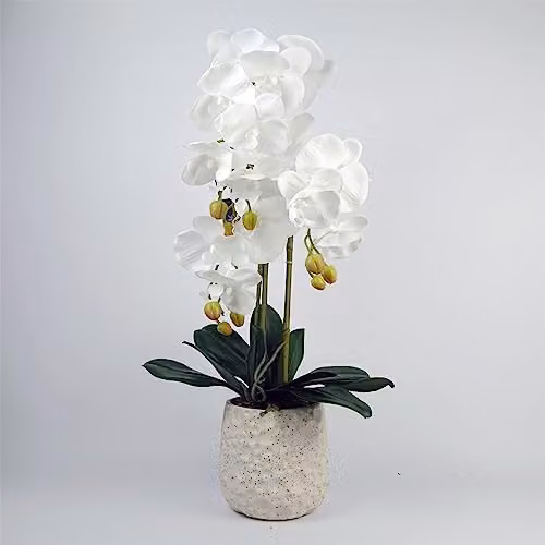 Leaf Design UK Realistic White Artificial Orchid in a Green Ceramic Bubble Planter, Height: 60 cm
