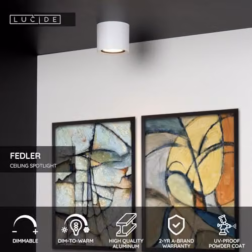 Lucide Fedler Dimmable Surface Mounted LED Ceiling Spotlight in White, GU10, Diameter: 12 cm – 2