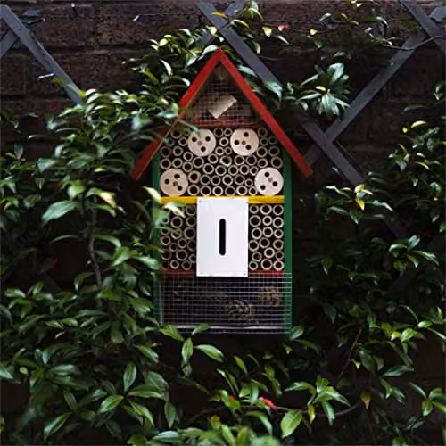 St Helens Home & Garden Wooden Bug and Bee Hotel in Multicolour, W/D/H: 40.0 x 26.0 x 9.5 cm – 3