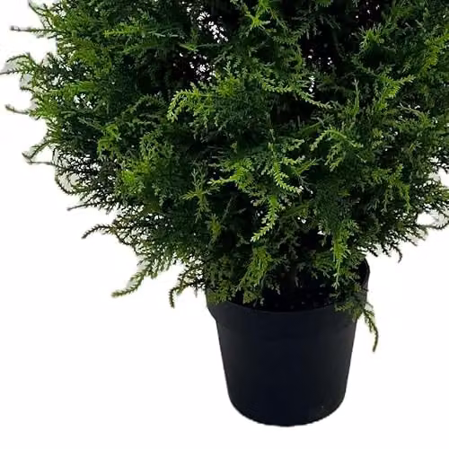 Artificial Cedar Cypress Conifer Trees in Green, Height: 150 cm – 3
