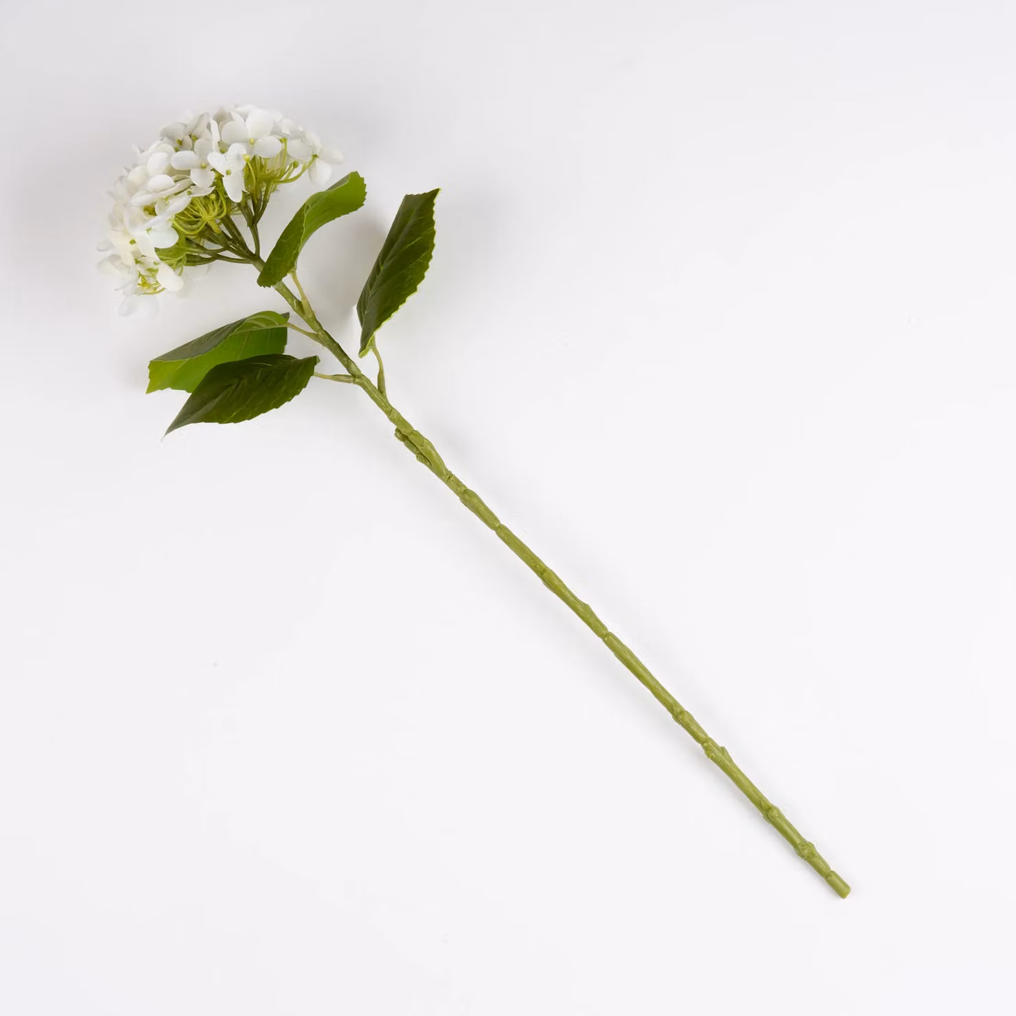 Scottish Everlastings Ltd Pack of 3 White Hydrangea Stems, 64 cm – 2