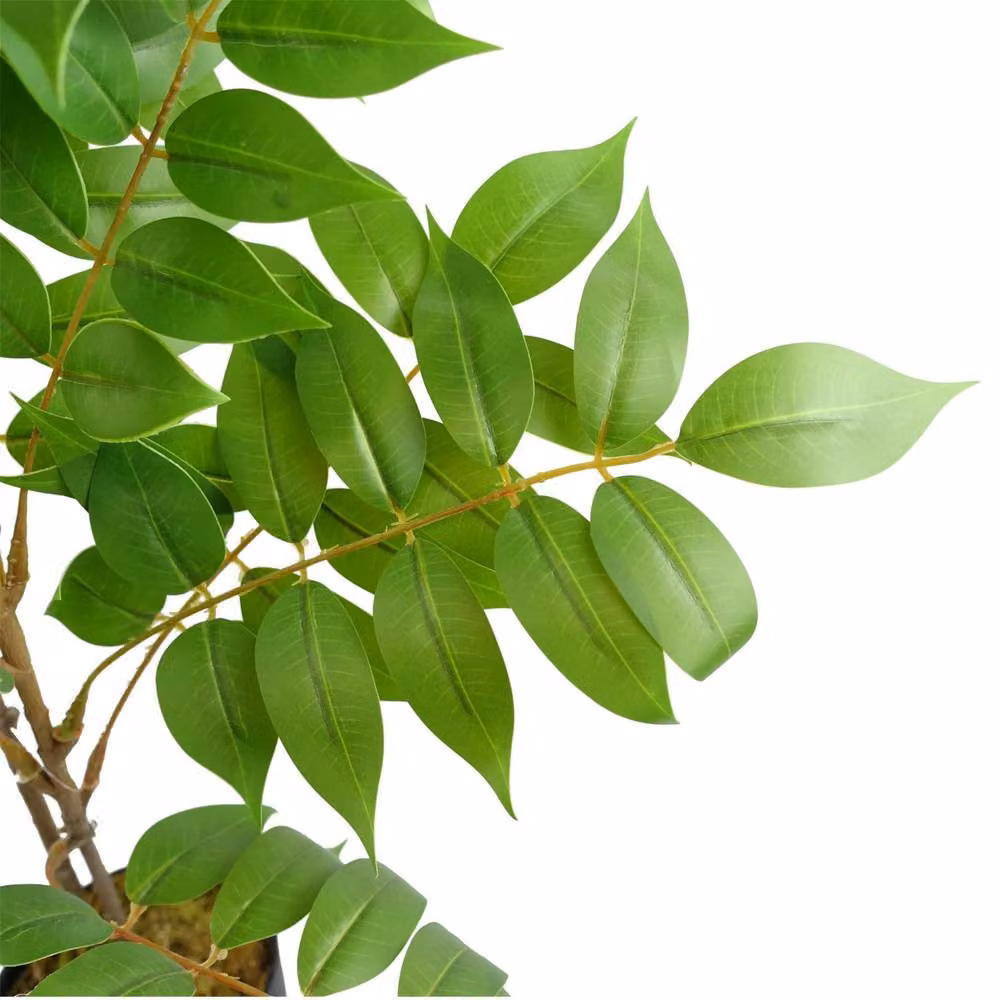 Leaf Premium Artificial Toona Sinensis Evergreen Tree in Green, Height: 110 cm – 4