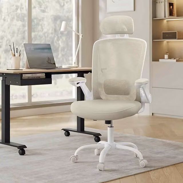 The Bazaarist Ergonomic Mesh Office Chair with Headrest and Lumbar Support in Beige