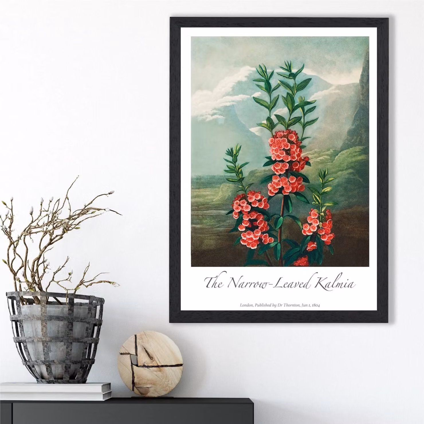 ARTZE Kalmia Flowers Vintage Floral Framed Print, Pink and Multicolour Botanical Illustration in a Black Frame, A4 – 2