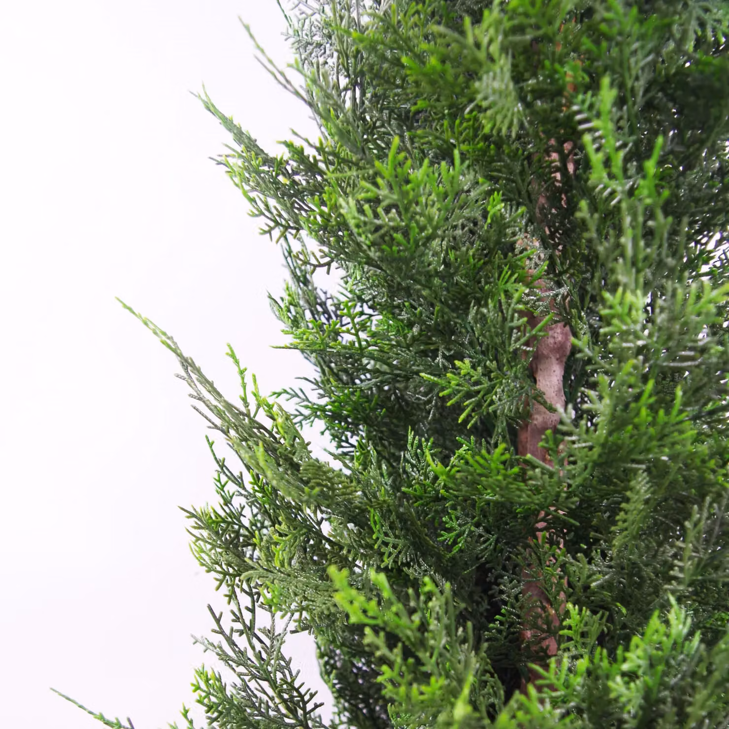 Leaf Green Artificial Cypress Topiary Tree – 4