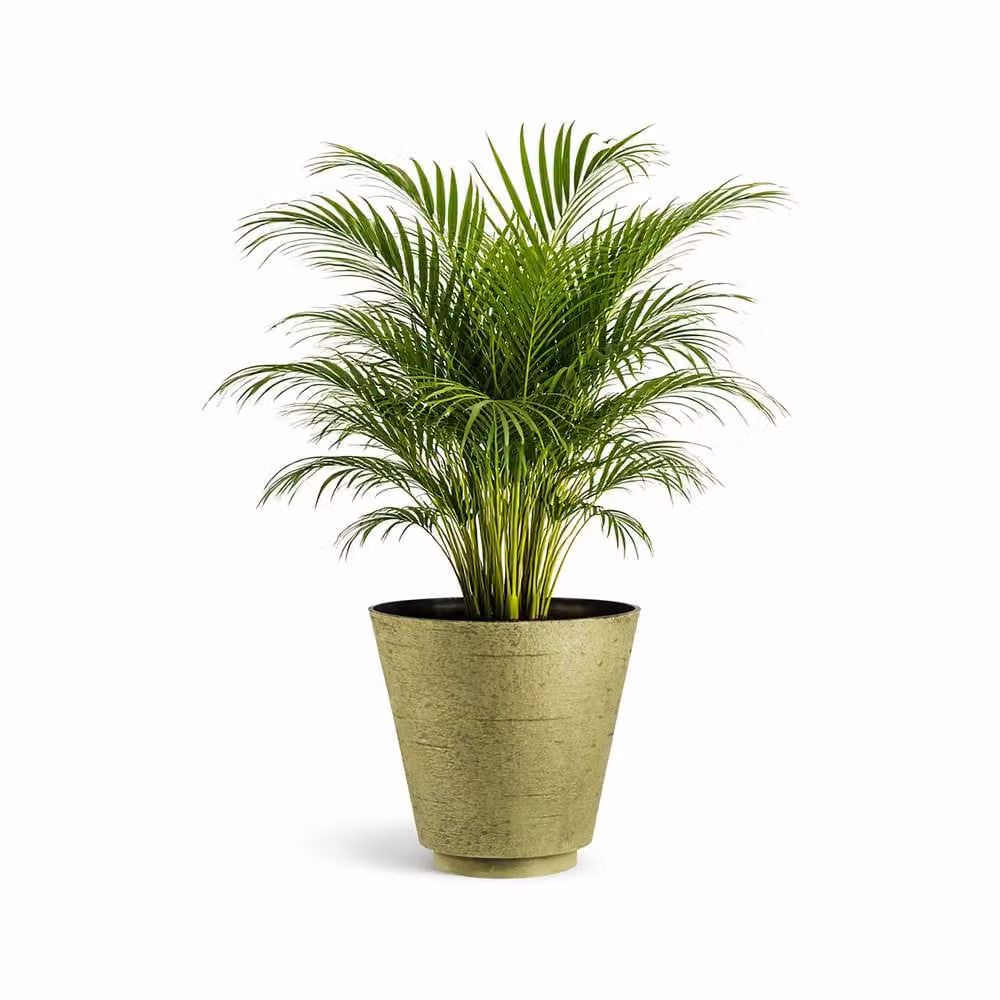 Simpa Hudson Textured Effect Plastic Planter Tub Set of 2, Green, Medium – 2