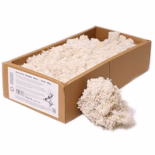 KDMD Decorative Reindeer Moss Snow White 500g