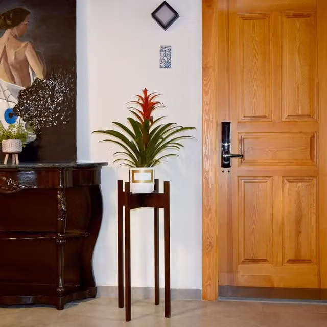 Decorotika Modern Lacquered Beech Wood Plant Stand in Black and Brown, W/D/H: 60 x 36 x 60 cm