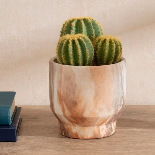 Scottish Everlastings Ltd Green Succulent Cactus in a Round Concrete Pot – 1