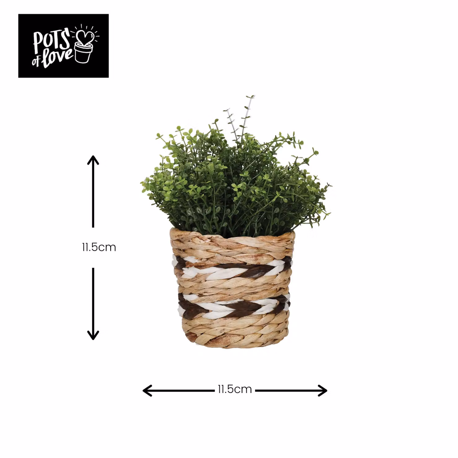 KitchenCraft Striped Rattan Tabletop Plant Pot in Beige, White and Brown – 4