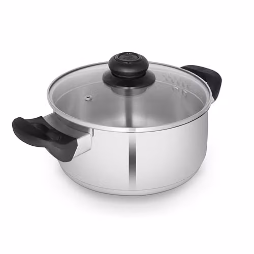 Swan Townhouse 24cm Stainless Steel Casserole Dish in Silver with Glass Lid – 1