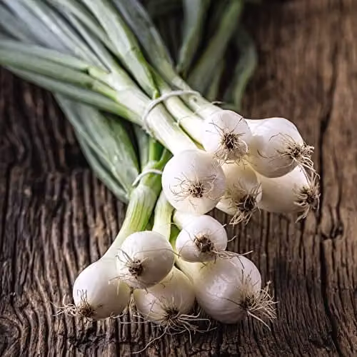Thompson and Morgan Paris Silver Skinned Pickling Onion Seeds, Approx. 30 Seeds per Packet