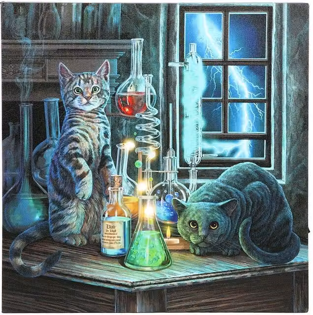 Lisa Parker Jekyll & Hyde Light Up Multicolour Canvas in Black, W/D/H: 30.0 x 30.0 x 2.5 cm – 1