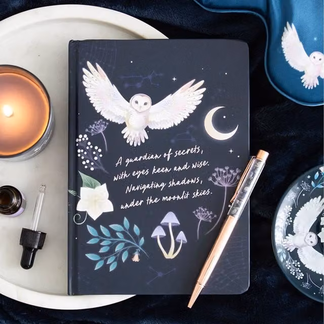 Kingsbury Gifts Night Owl Lined Hardcover Journal with Sodalite Pen in Midnight Blue and Gold