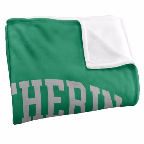 Warner Bros. Harry Potter Slytherin Quidditch Arch Super Soft Fleece Throw Blanket, Green/Multicolour, W: 91.44 cm x D: 91.44 cm x H: 147 cm – 2