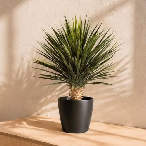 Leaf Design UK Artificial Green Yukka Tropical Potted Tabletop Plant H 75 cm x W 35 cm x D 35 cm – 1