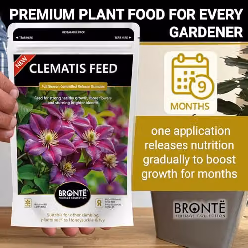 Bronte Heritage Clematis Feed Controlled-Release Granules for Climbers, 120g – 5