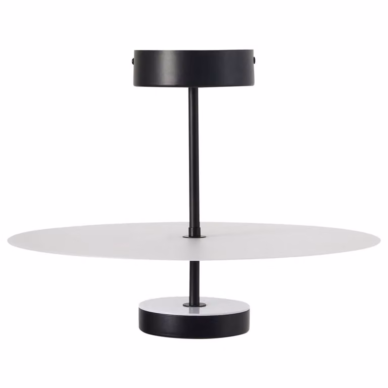 Wyld and Coco Black LED Ring Pendant Lamp in Matte Iron and Acrylic