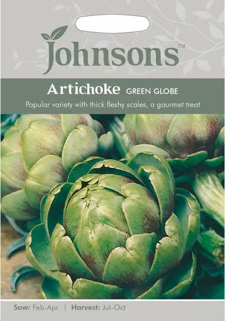 Johnsons Green Globe Artichoke Vegetable Seeds