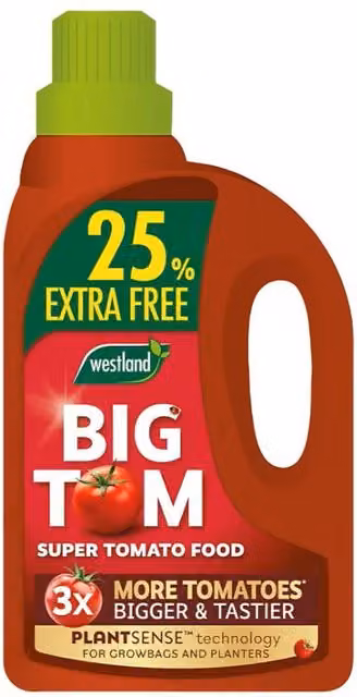 Westland Big Tom Super Tomato Food 1.4kg