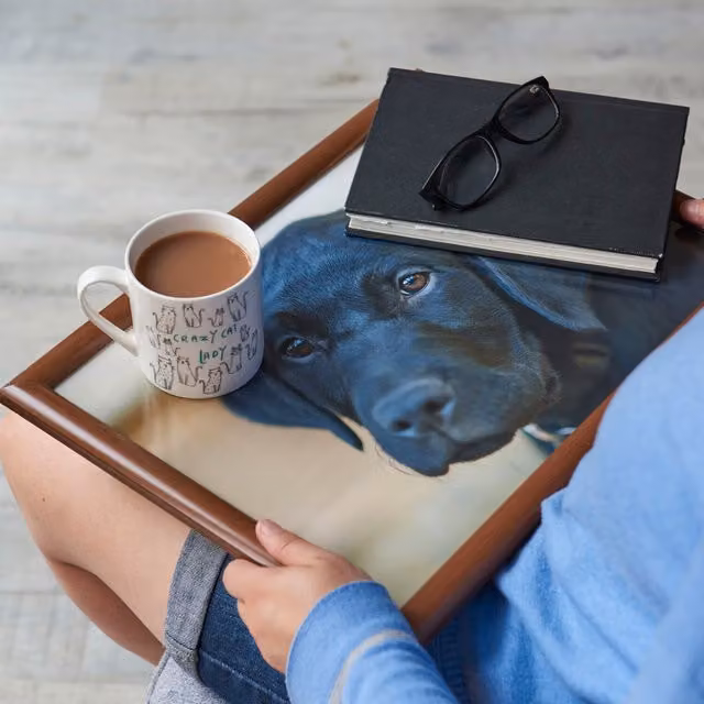 Creative Tops Labrador Laptray in Black and Multicolour