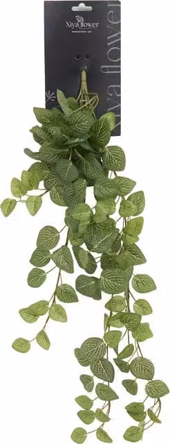 Xiya Flower Hanging Fittona Artificial Green Plant