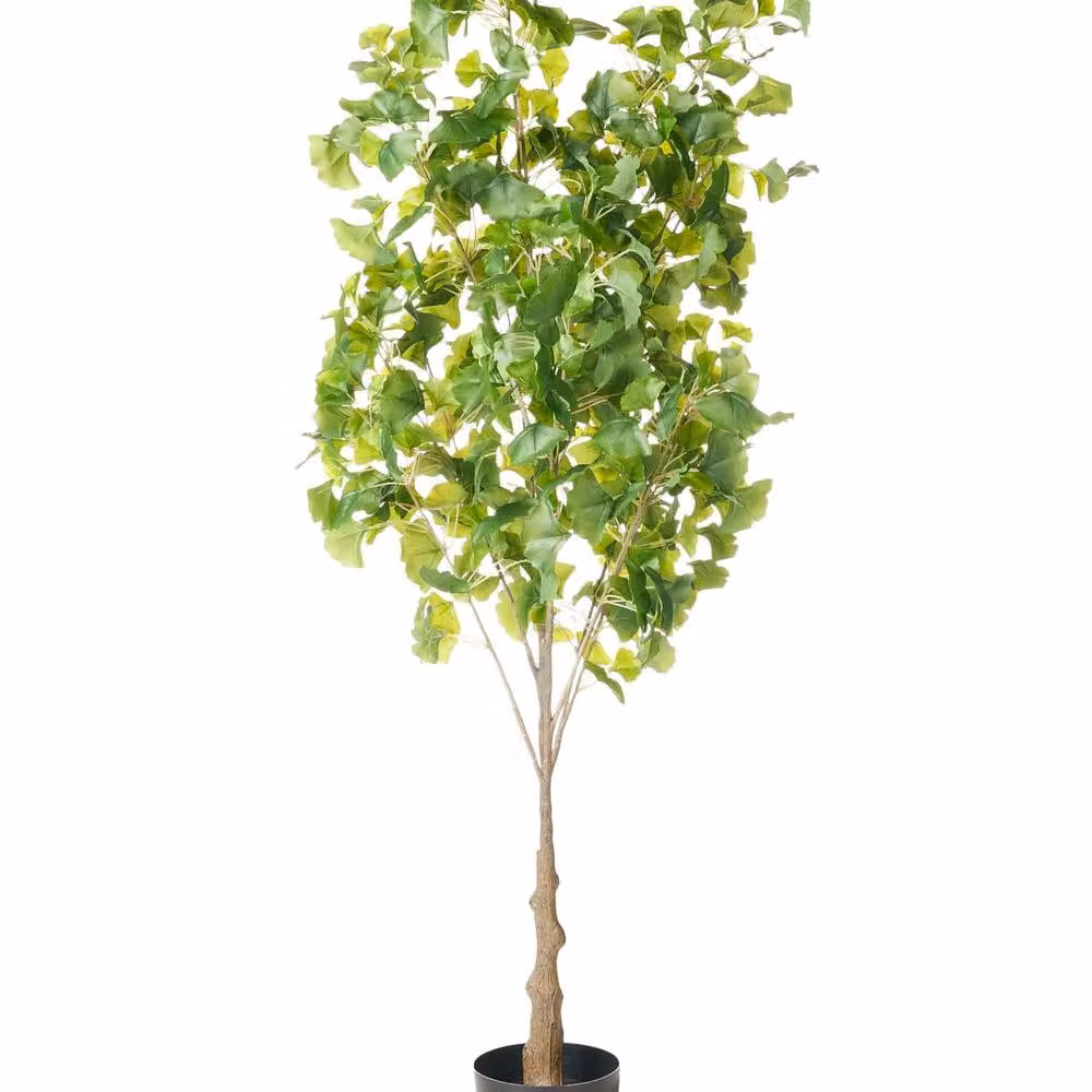 Wyld and Coco Green Artificial Potted Tree, Height: 150 cm – 2