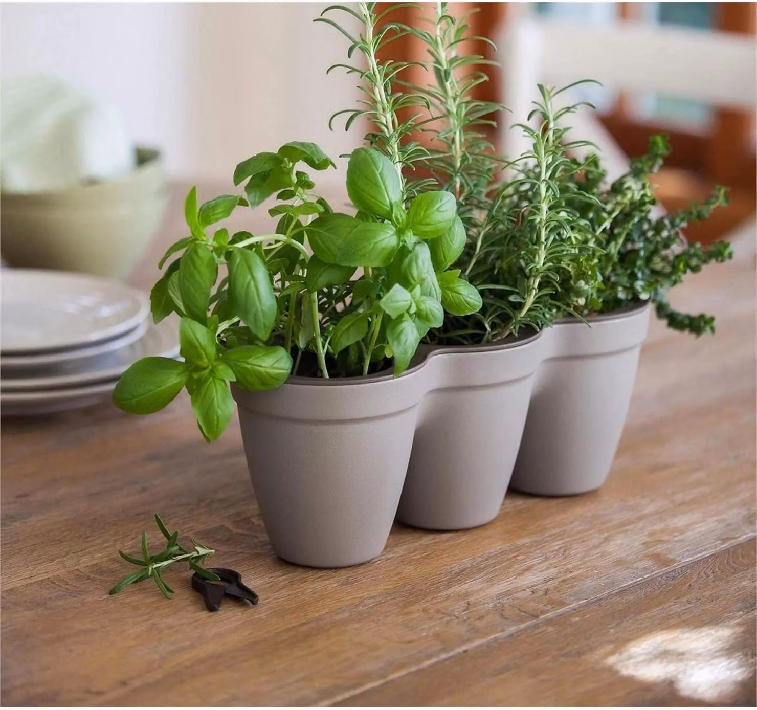 Simpa Keter Ivy Herbs 2 Litre Tri-Pot Planter with Leaf Cutter in Beige – 2