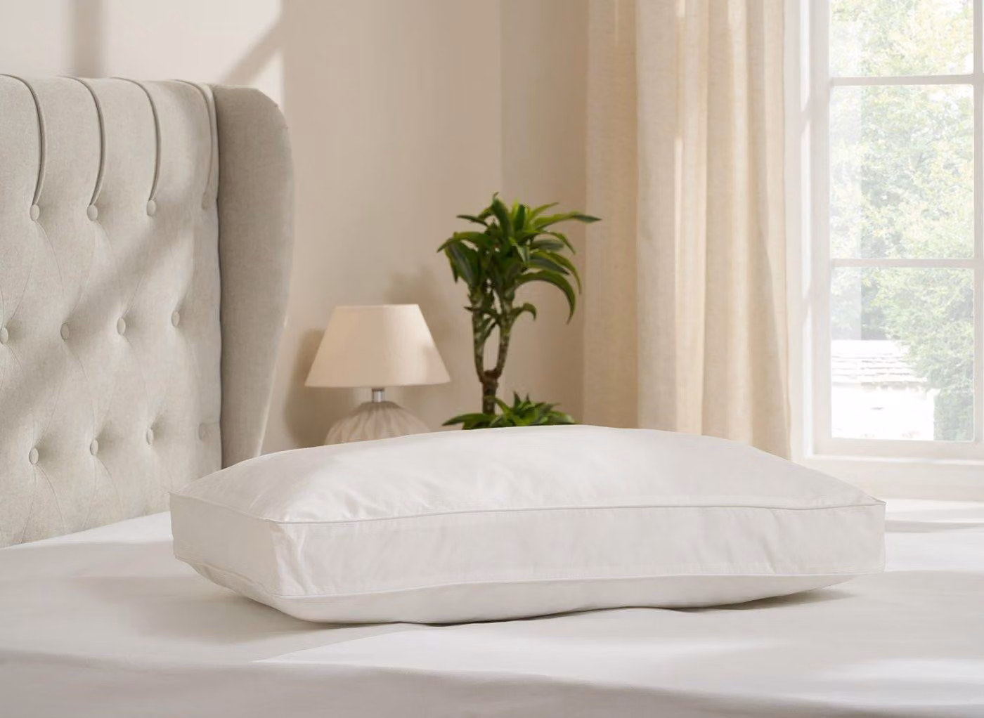 Dreams Side Sleeper Antibacterial Cotton Pillow in White