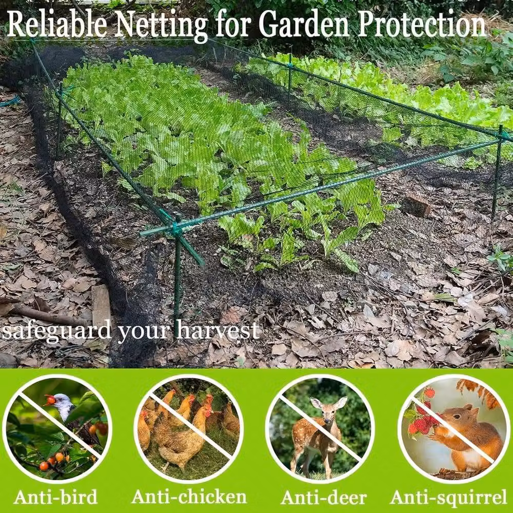 Spetlek Heavy Duty Black Garden Bird Netting Mesh, 2 Pack, W: 2 m, L: 10 m – 3