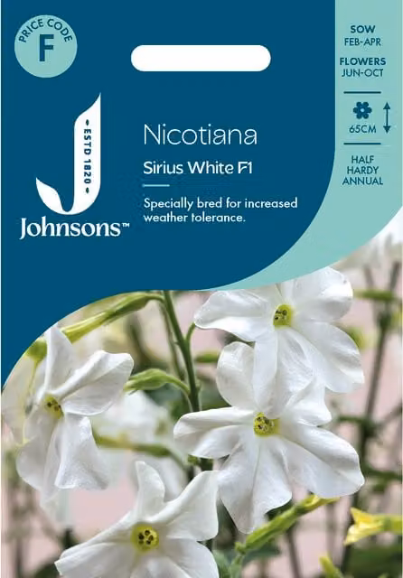 Johnsons Seeds Nicotiana Sirius White Flower Seeds